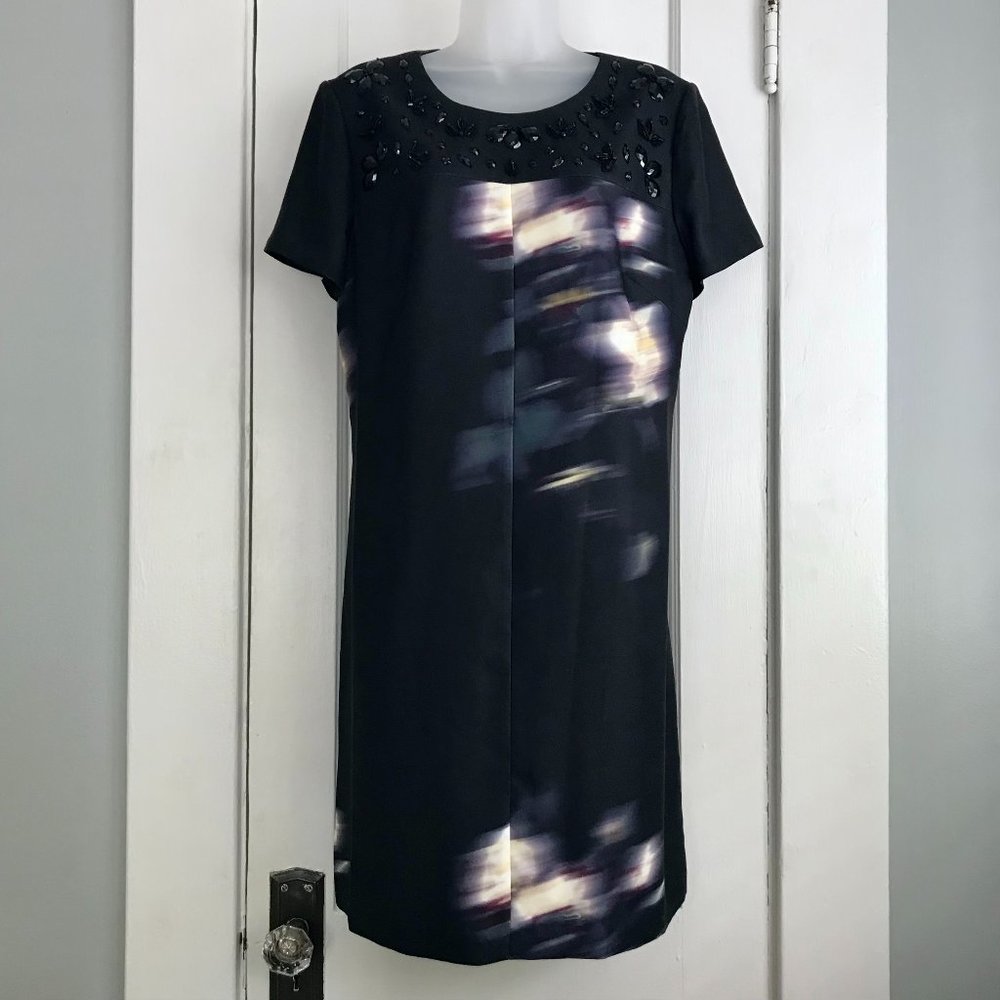 Peter Som Beaded Shift Sz 14